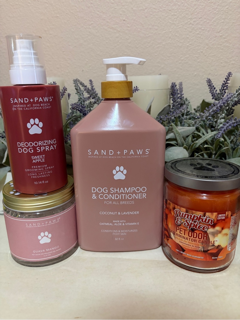 Sand and Paws Bundle